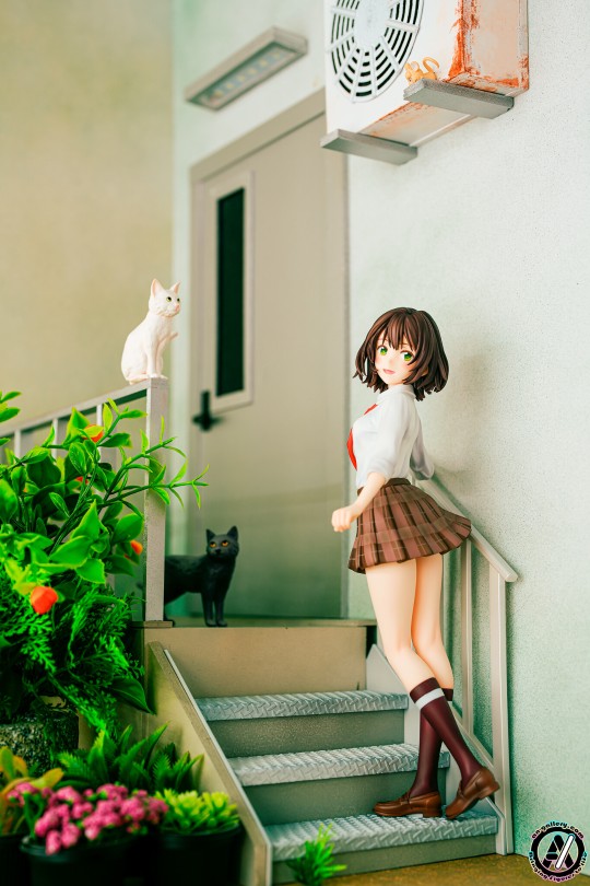 寿屋 弱势角色友崎君 日南葵