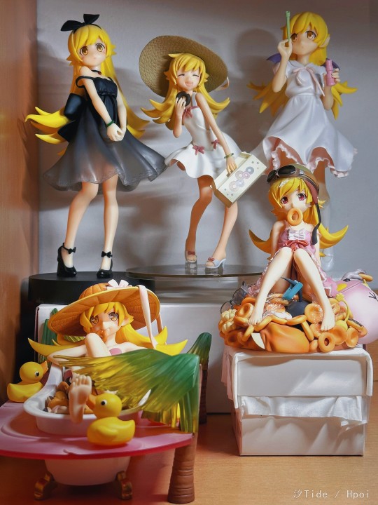 忍酱宿舍小分队☆