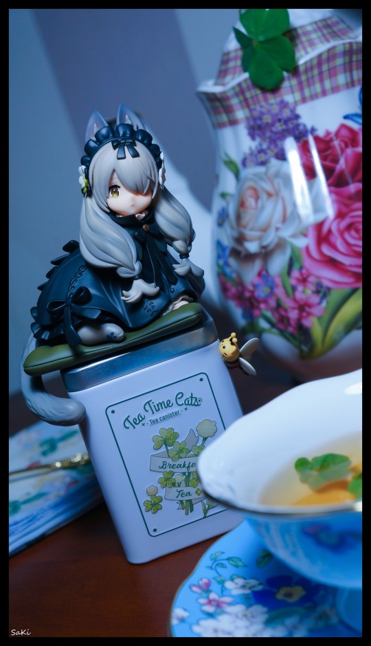 DLC系列 午后茶会 茶会猫 英国短毛猫 随拍