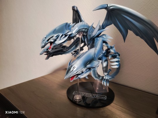 青眼究极龙到货啦