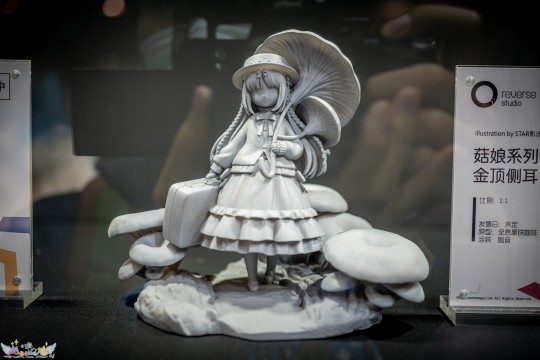 GMHS菇娘no.3金顶侧耳