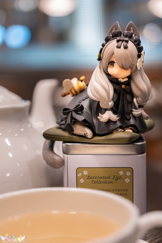 茶会猫 第二弹 英短