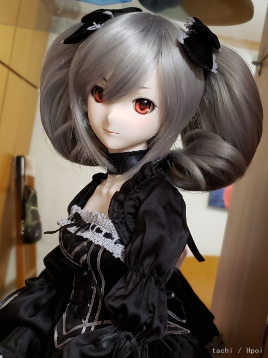 目前仅有的两只DD，以后大概还会接新女儿回家吧