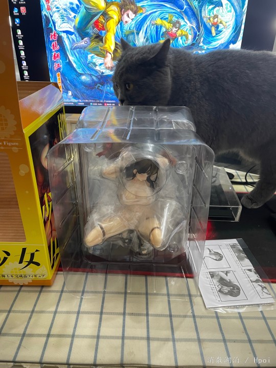 可爱滴捏！！！