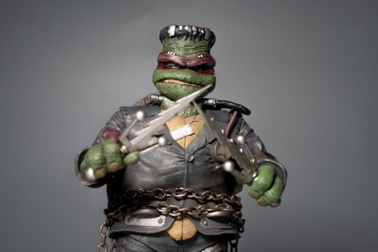 忍者神龟拉斐尔