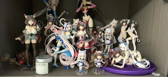 猫娘乐园！！！