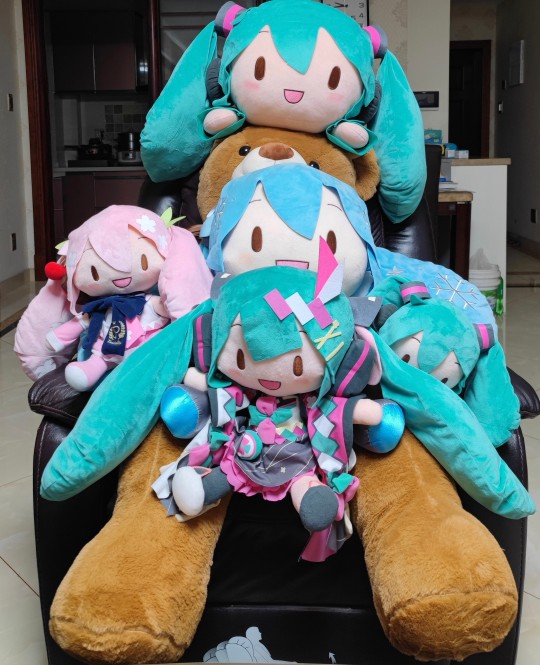 关于喜酒给了只大🐻，于是来了张毛茸茸全家福