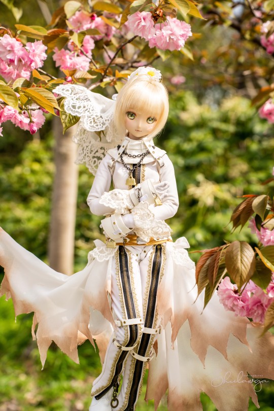 《终樱の花嫁》