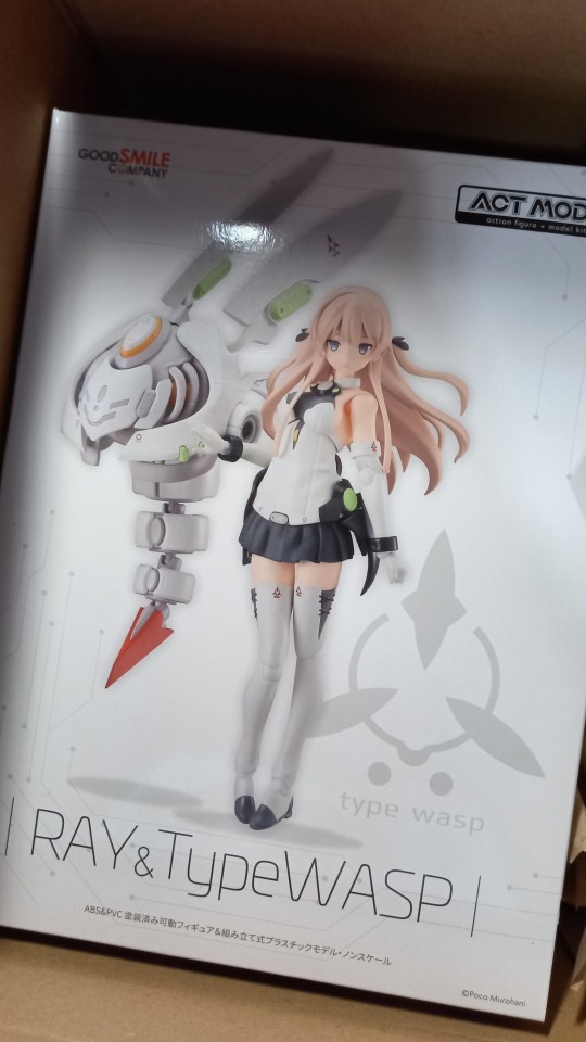 GSC Act mode 蜂娘 Ray到货水