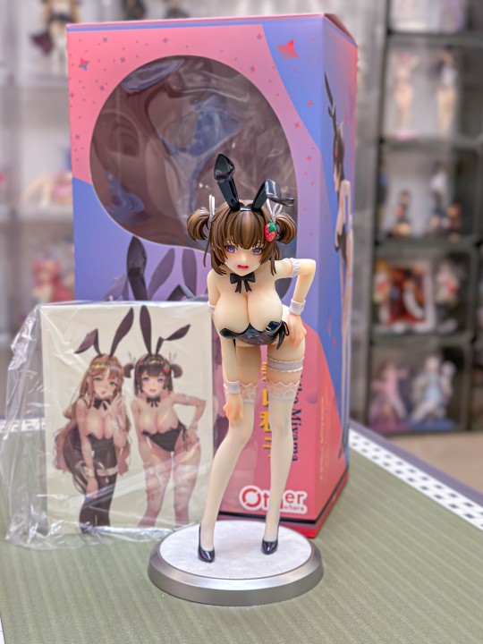 美山秋子 兔女郎 DX