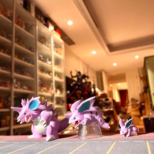 宝可梦比例世界1/20尼多王进化组