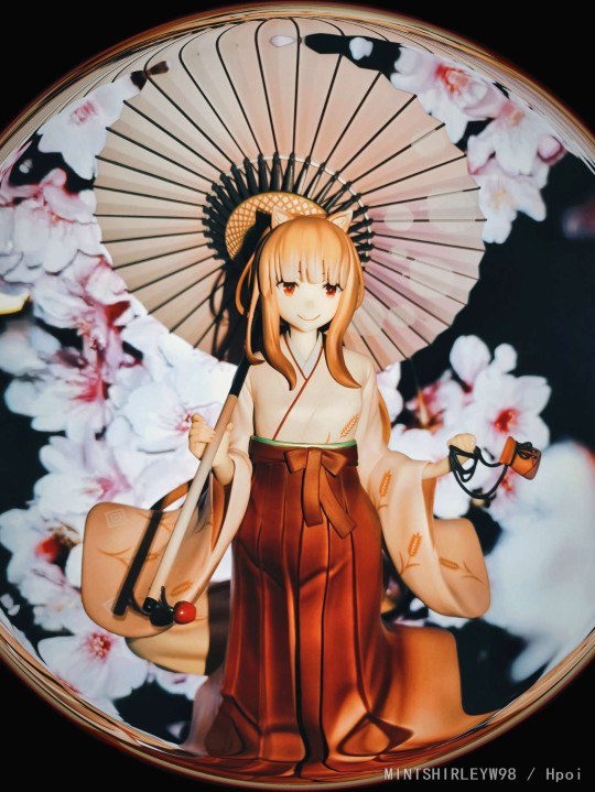 【狼与香辛料】这居然是盒散，不敢相信。