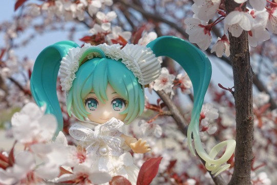 春日赏花🌸🌸