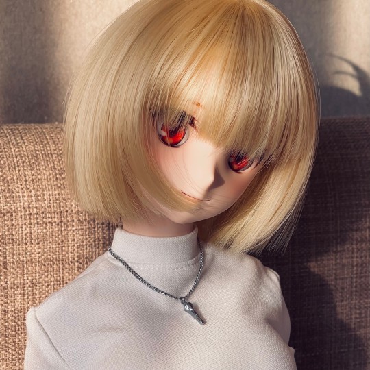 邻家小妹～阿尔奎特