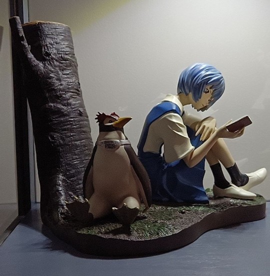 补一张，正面好看一点