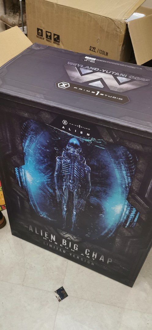 异形大战铁血战士😂