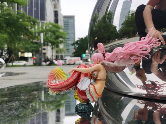 往者不可谏，来者犹可追