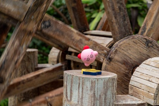 外拍！和hpoi朋友一起！