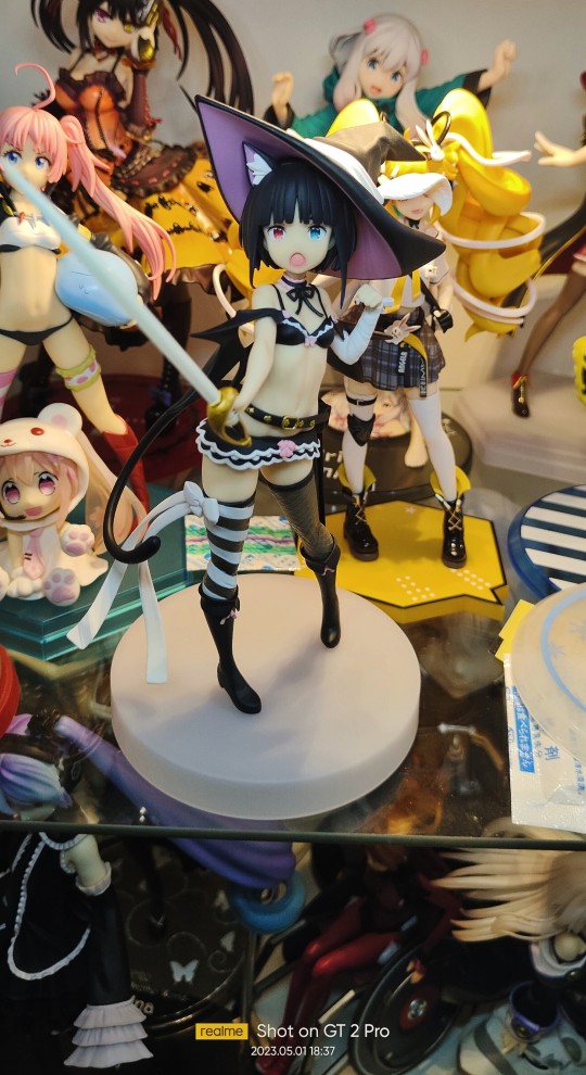 绽放的阿尔斯诺特利亚 小阿尔贝尔 猫王国