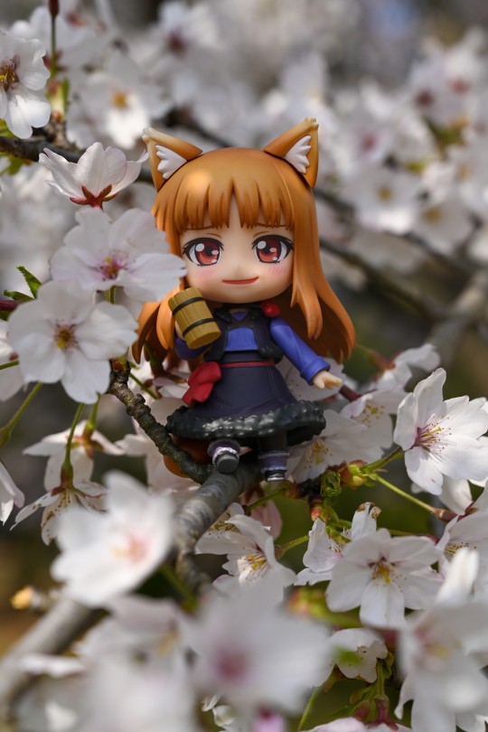 我和娃的2023春游