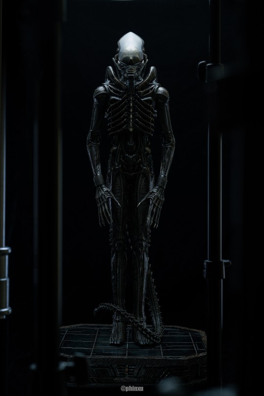 Prime 1 Studio WAAL-06LM 异形 初代异形Big Chap 