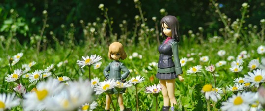 喀秋莎与农娜春游中