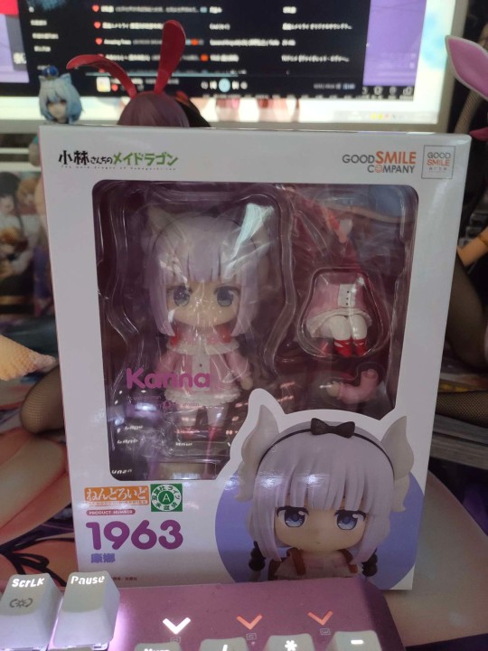 康娜到了。。。。。