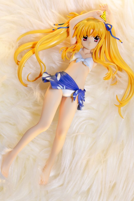 菲特·泰斯塔罗莎.哈洛温