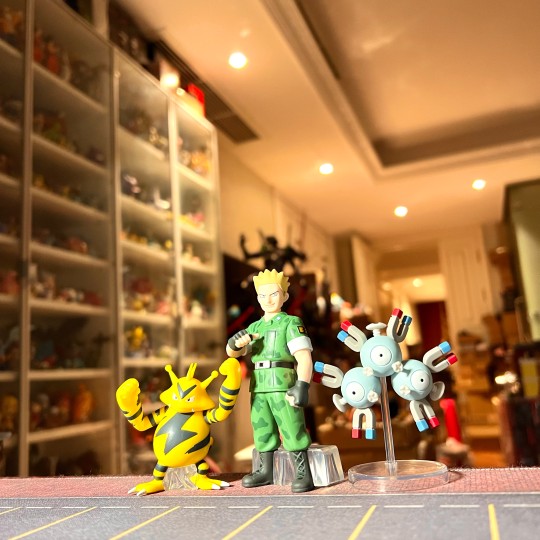 宝可梦比例世界 马志士 电击兽 三合一电磁怪