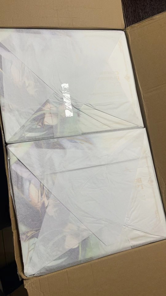 刚到的鲁鲁修，cc。