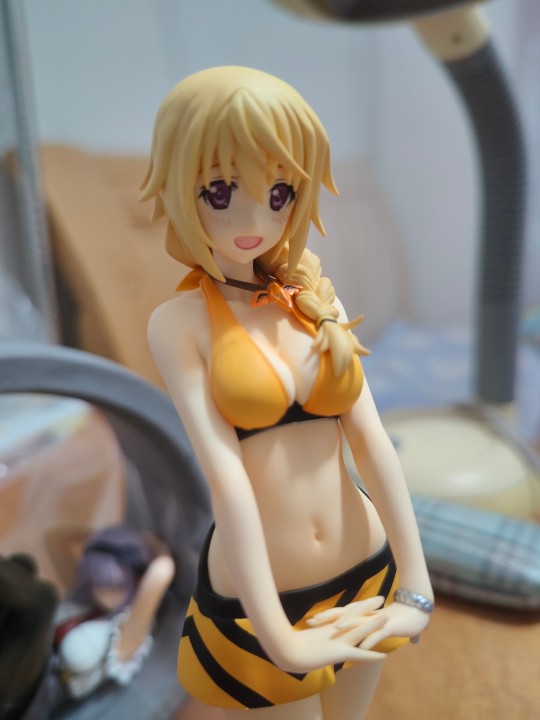 is夏洛特 法国香菜