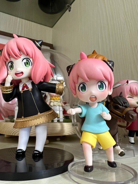 阿尼亚哇库哇库