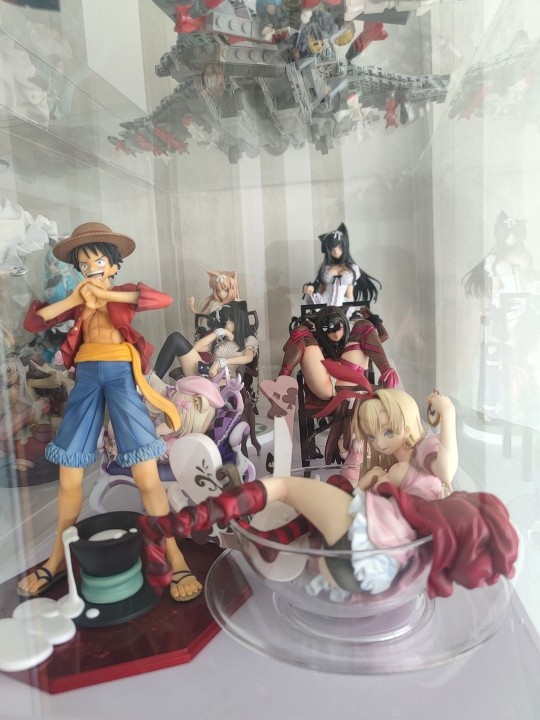 冷门老物战队，猫之惑星