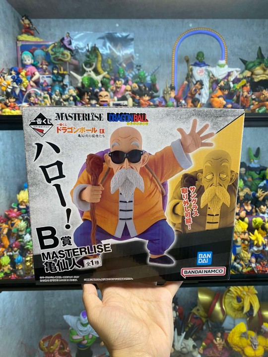 国内首开 c赏龟仙人