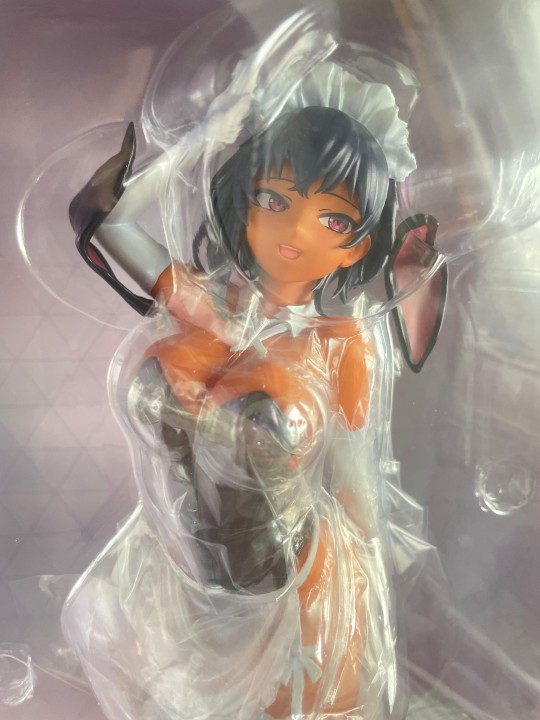 最近雇佣的女仆很奇怪