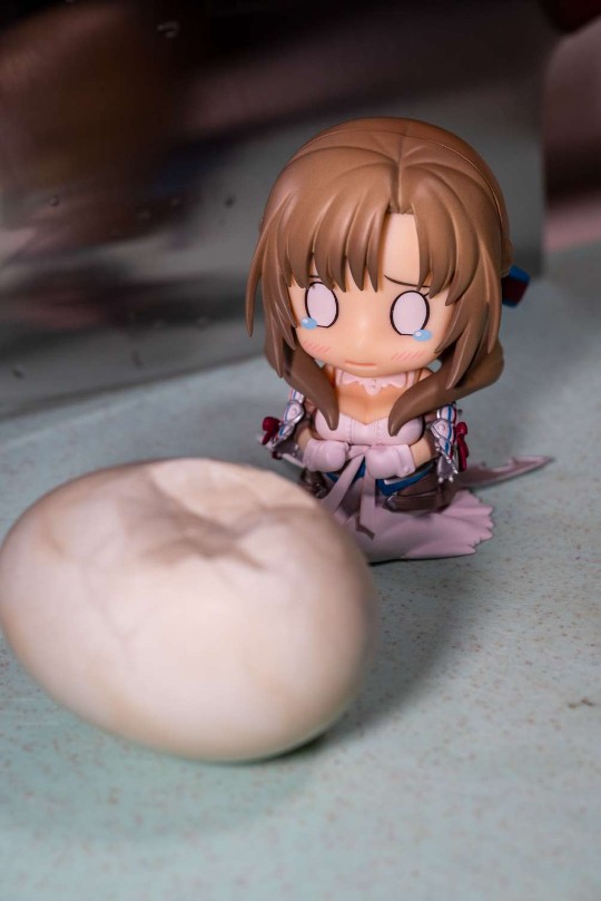 祝大家端午节安康呦ovo