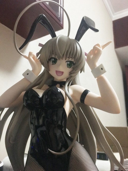 Freeing奈亚子兔女郎