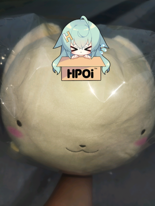 没买过趴趴之类的，不过这个小可够大，闲鱼ss那也有不少便宜货，不过小可的腮红是喷的粉色而不是线织的感觉很可惜