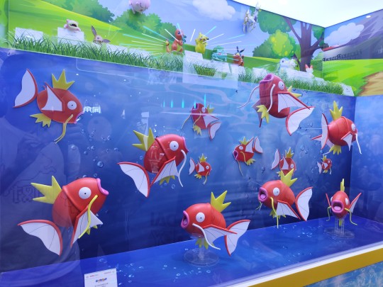 鲤鱼王大量出现!