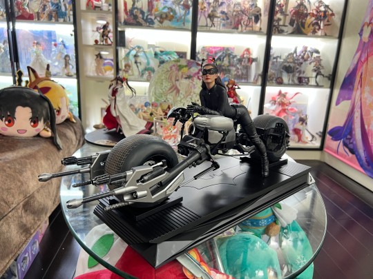 叶婷峰少手办收藏之298-qs猫女 恭喜hpoi（非全部手办）记录数量突破30w大关，感谢水友们3年来的支持和鼓励～