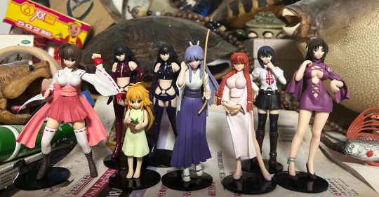 鹡鸰女神们集体吃灰