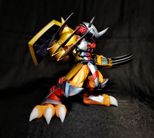 GEM八神太一&战斗暴龙兽到货水