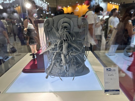 wf拍的一些现场照5