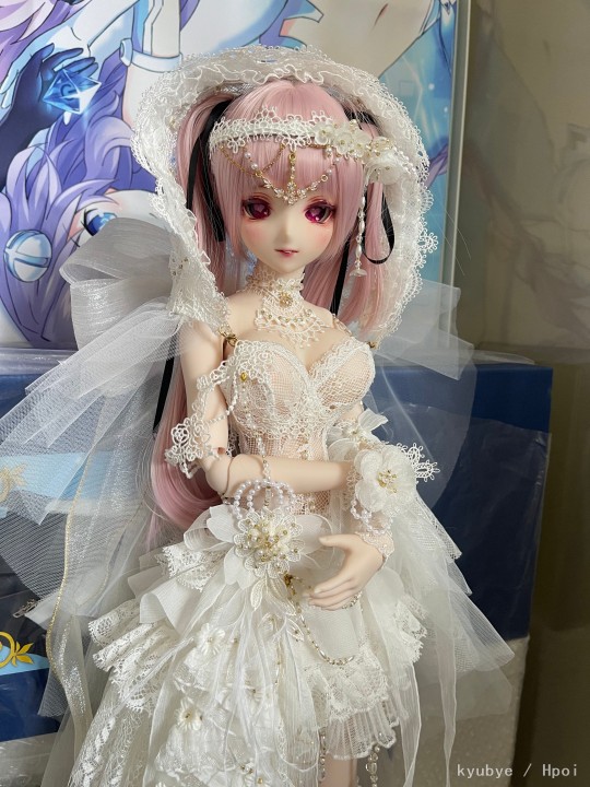 先随便放点东西有时间再拍点多的