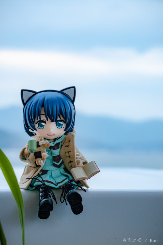 【胶游记】有柑菜在的大理之行