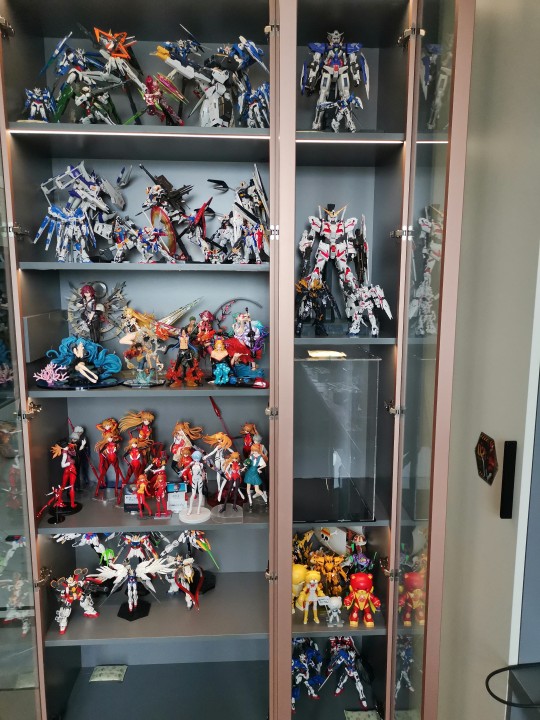 胶佬的终点是堆积，堆积的终点是开始玩成品手办（就是懒）