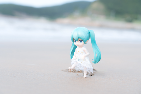 海边假日记录-后篇