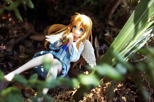 KD Colle 盾之勇者成名录 菲洛