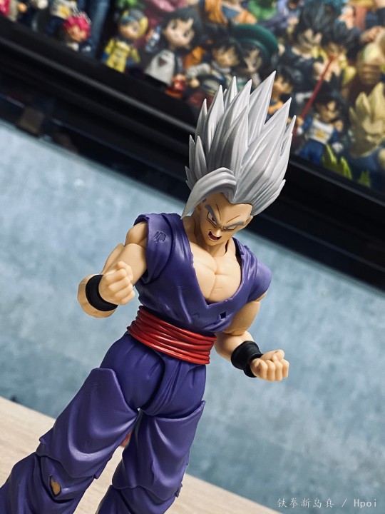 对象送的野兽悟饭，24岁，是学者