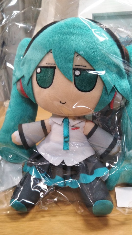 Gift V家六人 fumo 实物repost